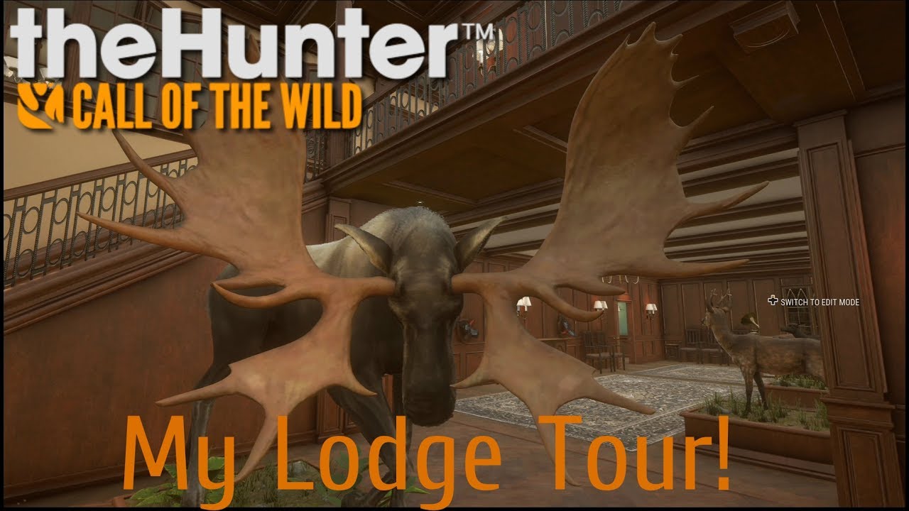 Trophy Lodge Tour! theHunter Call of The Wild YouTube