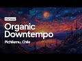 Organic  downtempo  rodrigo gallardo warm up by hameau  dj set 01