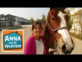 Mit Pferden sprechen #5 | Information für Kinder | Anna und die Haustiere | Spezial