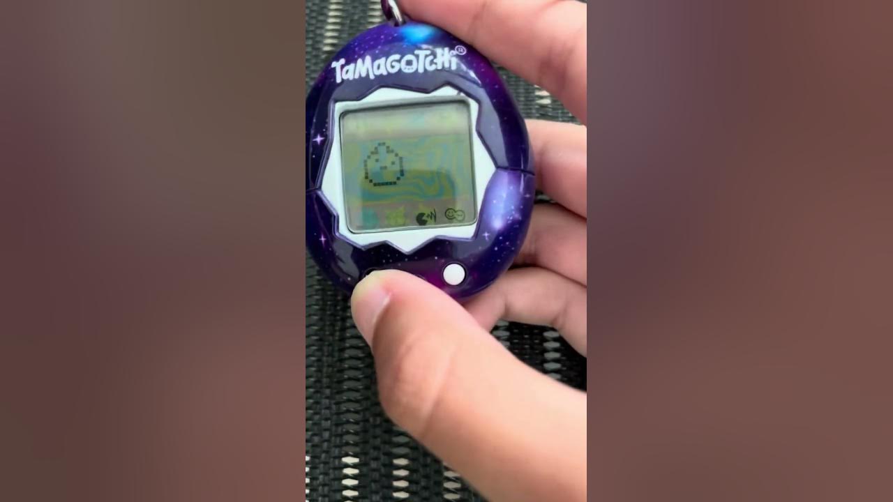 How To Discipline Tamagotchi YouTube