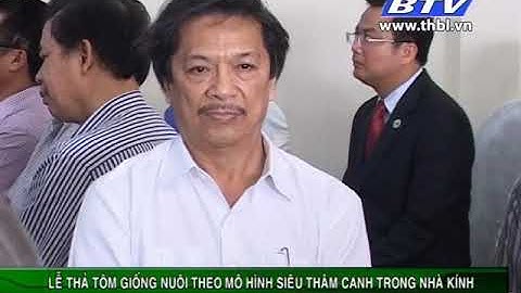 Lễ thả giống   Chương trình nuôi tôm siêu thâm canh nhà kính  Truyền hình Bạc Liêu