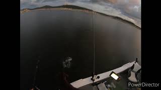 Copeton cod