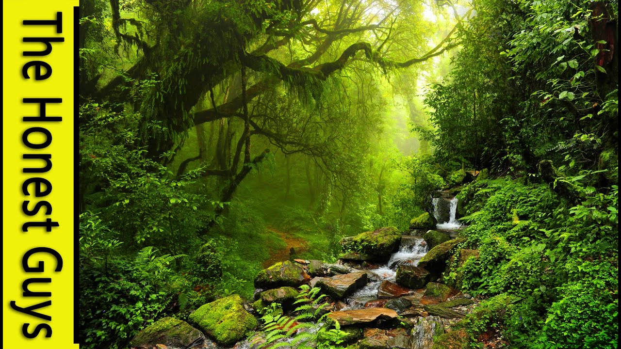 1 HOUR of UPLIFTING CLASSICAL MUSIC for Study or Relaxation