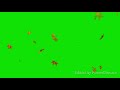 green screen video effect download mp4(star video effect)