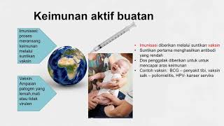 Biologi KSSM Ting 4 :  BP 11  KEIMUNAN MANUSIA  : 11 3  Jenis Keimunan