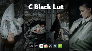 C Black Lut - Urban Black Lut | Urban Lut | Black Filter | Black Street Lut | Urban Street Lut