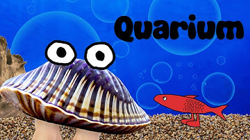 Quarium Episode 1- Pilot 
