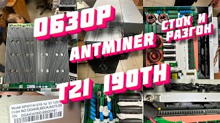 : Antminer T21   VS .    7Miners