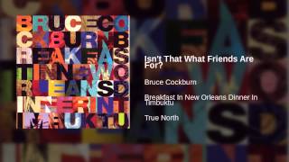 Vignette de la vidéo "Bruce Cockburn - Isn't That What Friends Are For?"