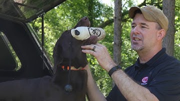 Training Hold to Your Retriever