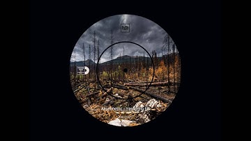 Asymmetric - Irascibility [BURELOM05]