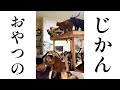 【保護猫シェルター】猫が集まる「おやつの時間♪」