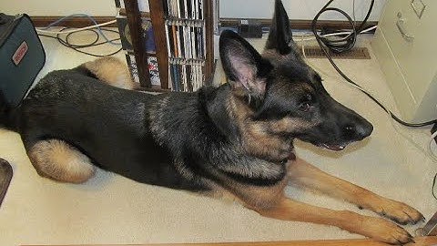 Solver64 Announcement, Dropbox Replaces Github Account