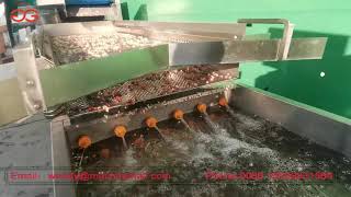 Automatic Pomegranate Deseeder Machine Pomegranate Process Machine