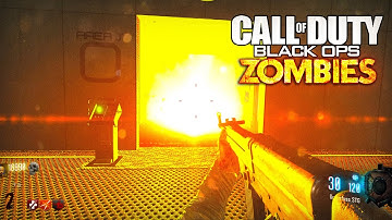 COD Zombies, but EVERY ROOM is RANDOMIZED