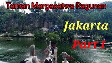 KEBUN BINATANG | TAMAN MARGASATWA RAGUNAN JAKARTA PART I