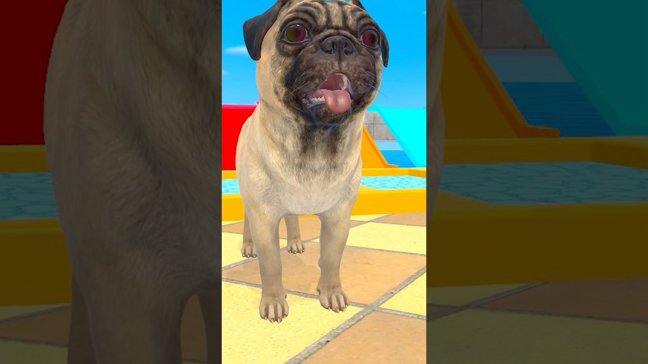 Paint Animals Dog, Dino, Cow, Lion 