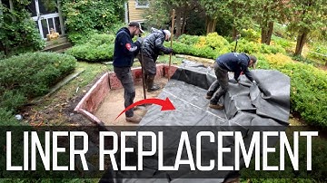 Leaky Pond? How to Replace the Liner Like a Pro!