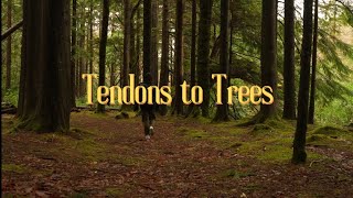 Tendons to Trees | Short Film