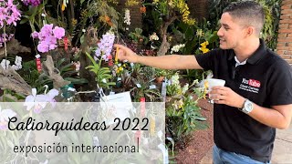 CALIORQUÍDEAS 2022 | INCREÍBLE EXPOSICIÓN DE PLANTAS EN COLOMBIA