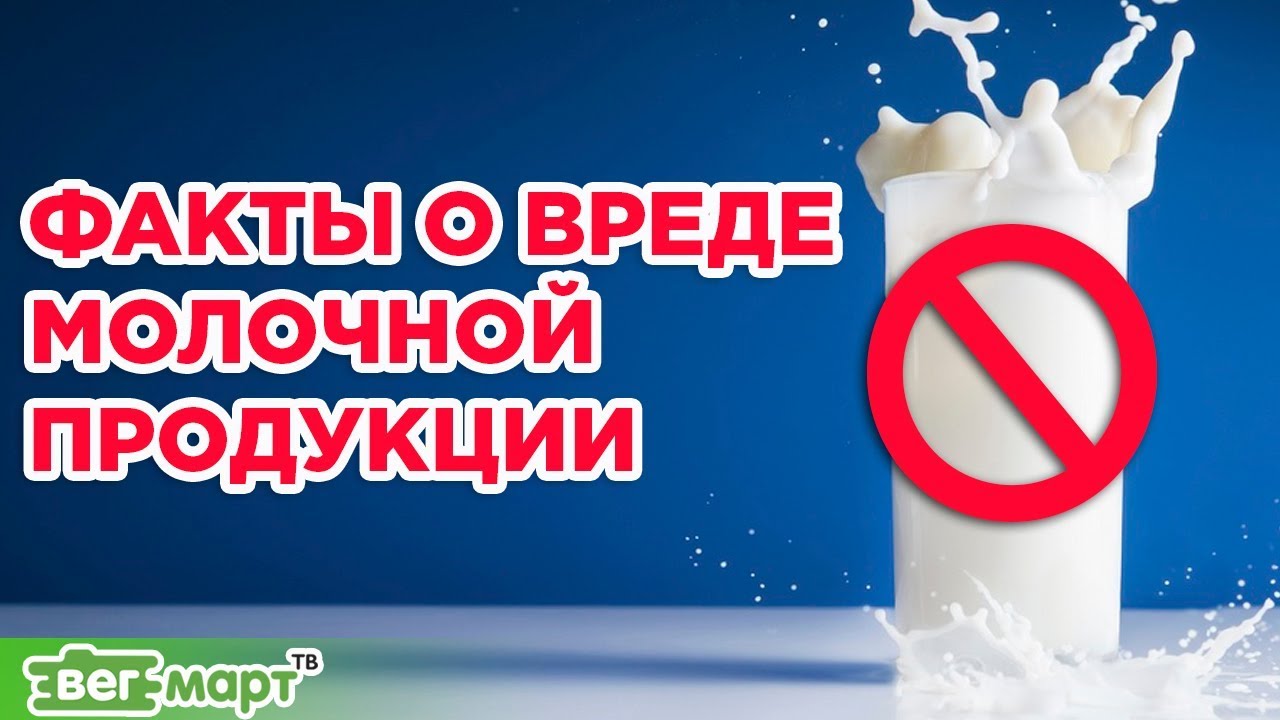 Пост молочное нельзя. Вред молочных продуктов. Вред молочки. Мифы о вреде молока и молочных продуктов. Молочный вред.