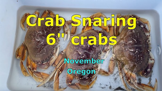 Crab Snaring Garibaldi Tillamook Jetty on the Oregon Coast 