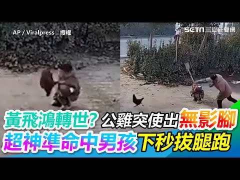 黃飛鴻轉世？公雞突使出無影腳 超神準命中男孩下秒拔腿跑｜三立新聞網 SETN.com