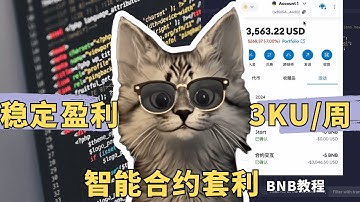能够稳定盈利3KU/周的智能合约套利你确定不尝试一下？【磊哥BNB套利教程】