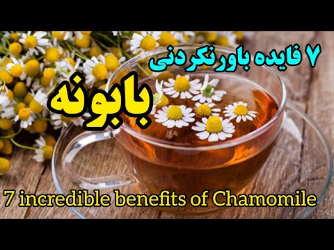 ۷ فایده باورنکردنی گیاه بابونه ۷ راز نهفته در بابونه    فواید گیاه بابونه