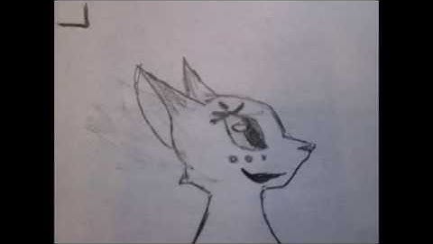 Just Hold On, Bluestar and Oakheart MAP Part 10 for Rainsplash