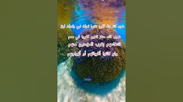 سورة التحريم من الآية ﴿٩﴾ إلي الآية ﴿١٠﴾ بصوت القارئ إسلام صبحي