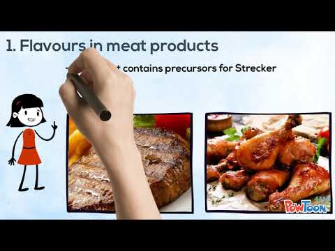 Strecker degradation reactions Chemistry of the Maillard reaction in foods