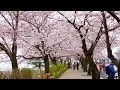 Best Time to Visit | Seoul Travel