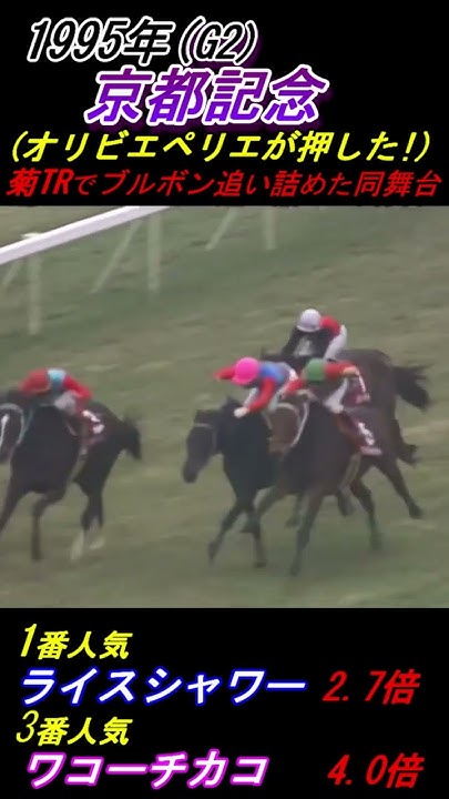 【斤量60kgライスシャワーが1番人気!】前走有馬記念3着!あの闘志を求めて京都へ西下! 京都記念(G2・1995年) ワコーチカコ 鞍上