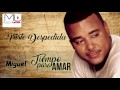 Triste Despedida - Luis Miguel del Amargue - Audio Oficial - Bachata