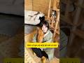trân thành cảm ơn những người hùng thầm lặng #thucung #cat #pets #dongvat #catlovers #meo