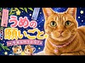 【七夕】うめの願いごとが可愛すぎました🎋🐱