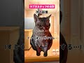 ラブホスタッフの日常【猫ミーム】