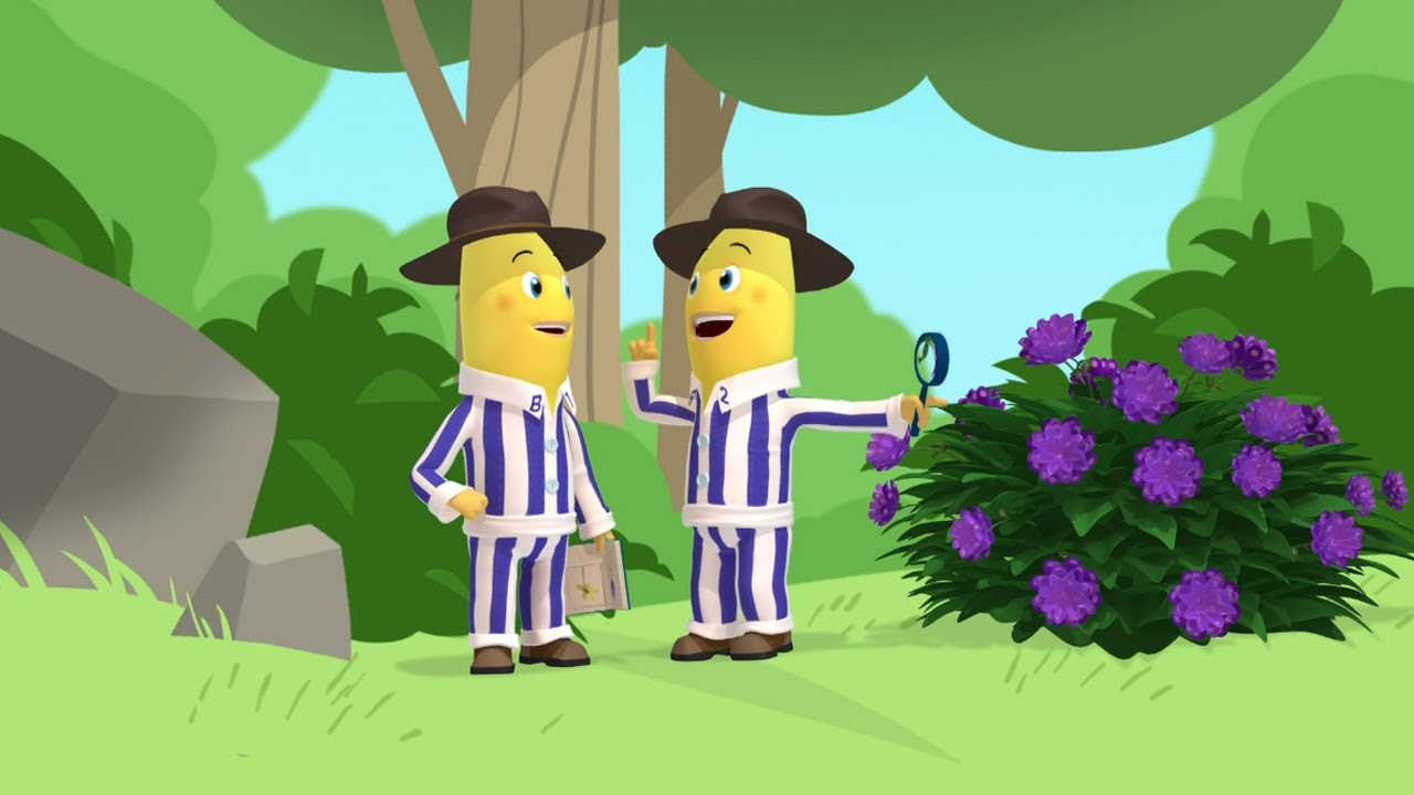 Into The Wild! Bananas in Pyjamas Season 1 Full Episodes Bananas