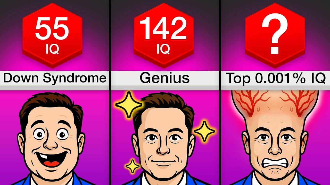 Comparison: Every Level Of Intelligence