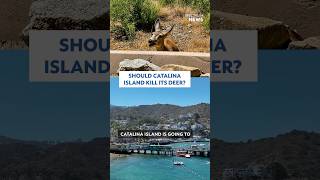 Shoot Catalina Island kill its deer?