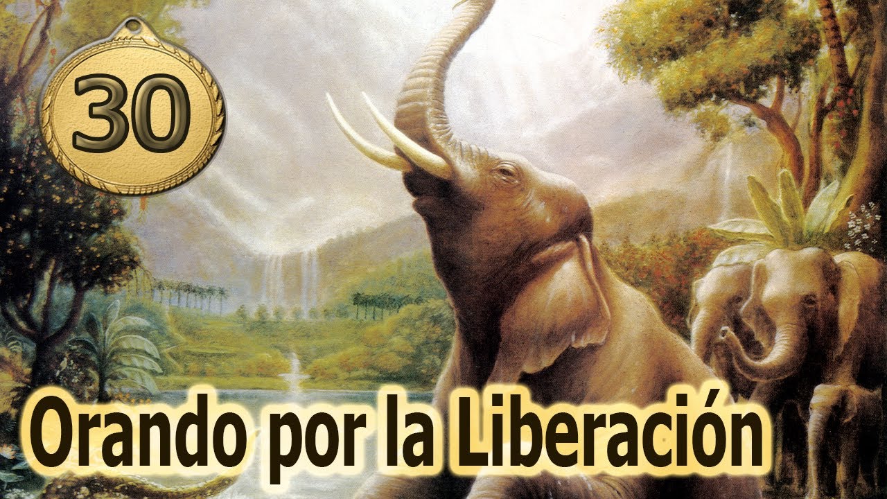 EPISODIO 30: ORANDO POR LA LIBERACIÓN – La historia de Gajendra