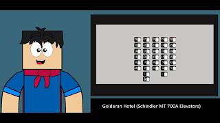 Animated: Schindler MT 700A Traction Elevators, Golderan Hotel, Washington