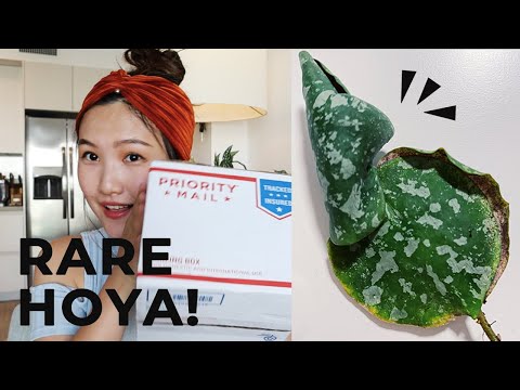 Rare Plant Haul