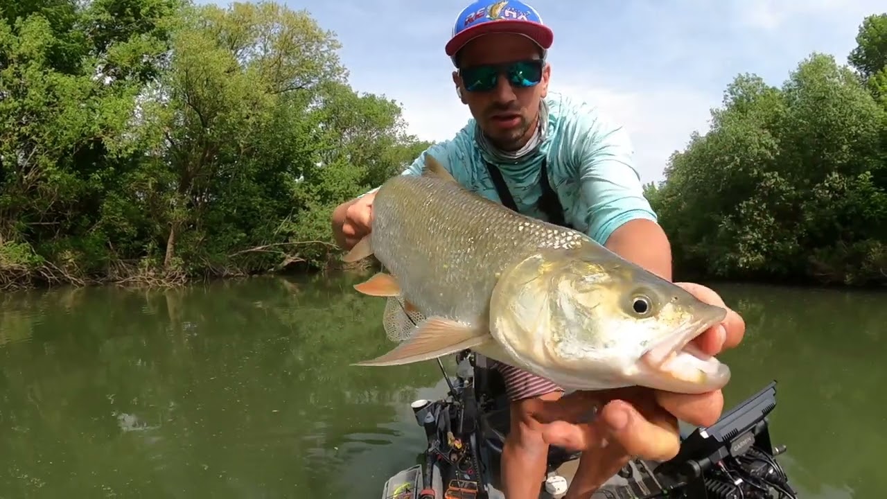 Salau pe Cris cu Andrei Sava