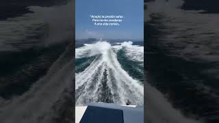 Renta de yates 🛥️ total mente privados #reservation #viral #playa #destiny #barco #indigo