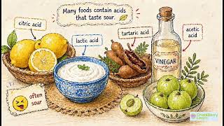 Exploring Substances: Acidic, Basic and Neutral | Class 7 Science Chapter 2 Made Easy