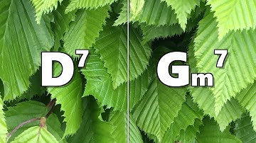 D7 to Gm7 Backing Track