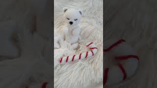 Felted polar bear and felted candy cane by LuckyBay Handmade | Photoprops | Newborn Photography