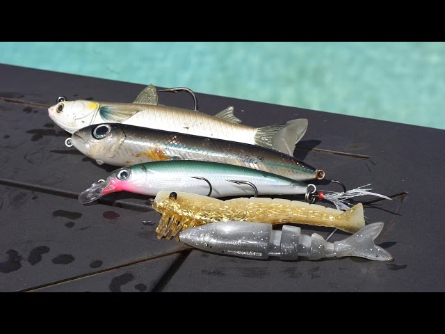 TOP 5 INSHORE LURES 